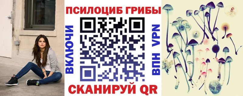Псилоцибиновые грибы MAGIC MUSHROOMS  Купить где  Медынь 